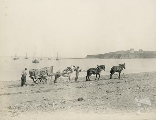 Saint-Quay-Portrieux - Scène sur le port